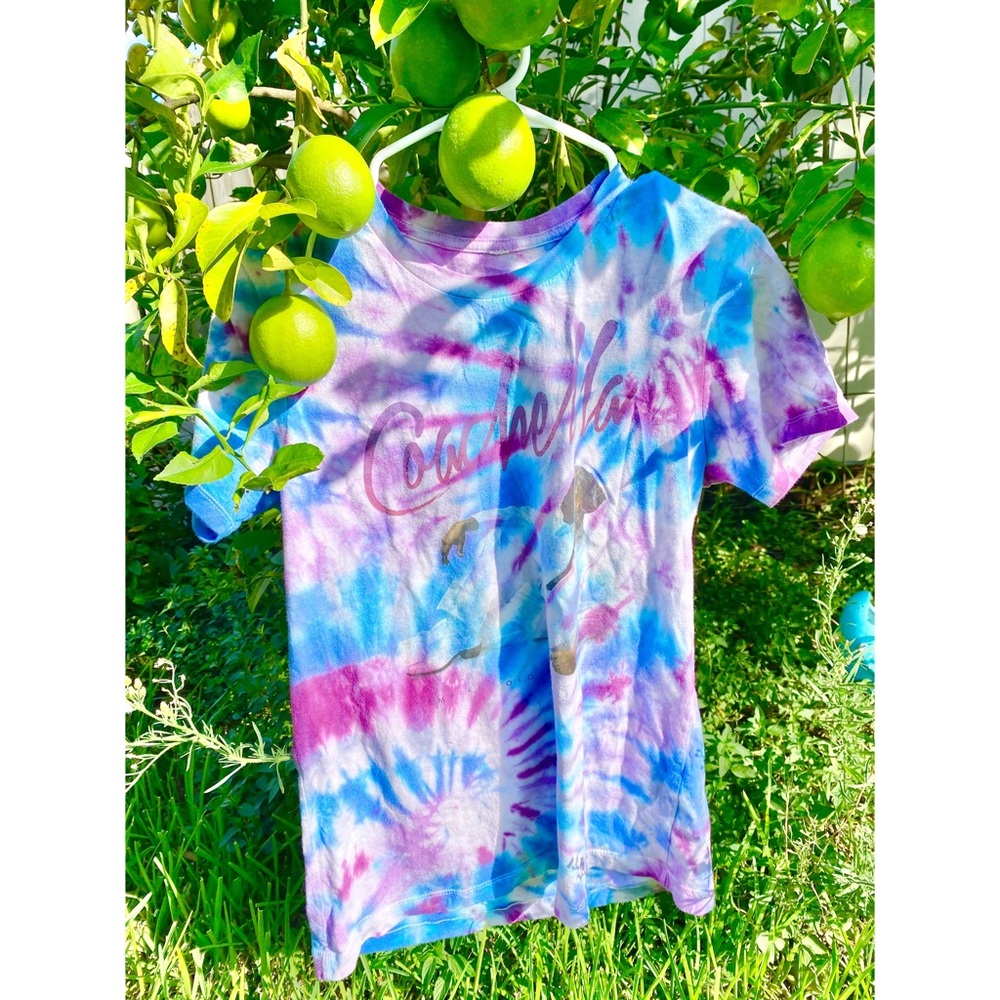 UPCYCLED Coachella Festival Fancy Dog Tie-Dye Tee